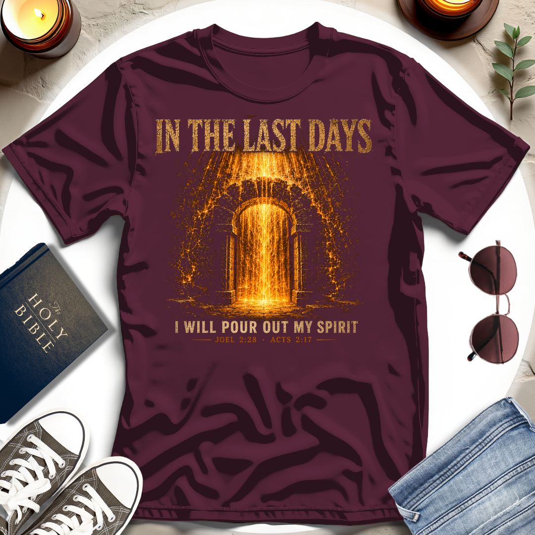 In The Last Days T-Shirt