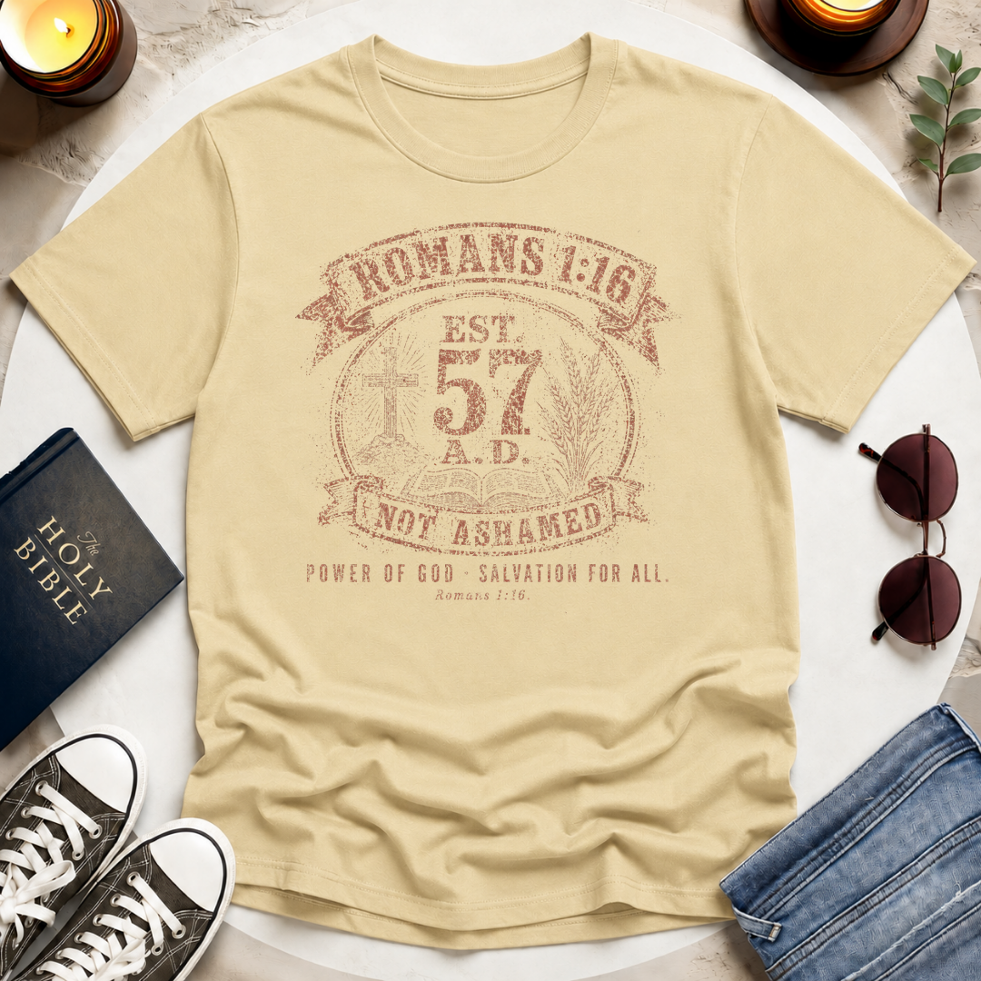 Romans 116, Distressed T-Shirt