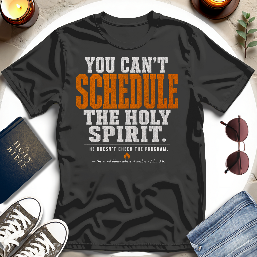 You Can't Schedule T-Shirt