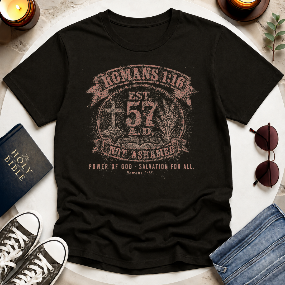 Romans 116, Distressed T-Shirt